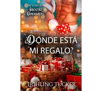 ¿Dónde está mi regalo?: Hostal Dreamers