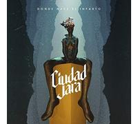 Donde Nace El Infarto