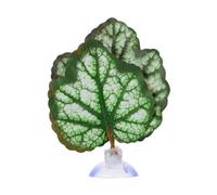 DONGKER Feuille de Repos de Poisson Betta,Lit de Poisson Betta,Hamac à Feuilles de Lit Betta avec Ventouse pour Décoration D'aquarium