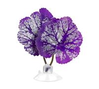 DONGKER Feuille de Repos de Poisson Betta,Lit de Poisson Betta,Hamac à Feuilles de Lit Betta avec Ventouse pour Décoration D'aquarium