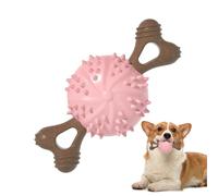 DONGKER Jouet a Mâcher pour Chien,Texture Convexe,Os pour Animaux de Compagnie,pour Petites,Grandes et Moyennes Races,Gencives de Massage a Mâcher