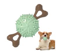 DONGKER Jouet a Mâcher pour Chien,Texture Convexe,Os pour Animaux de Compagnie,pour Petites,Grandes et Moyennes Races,Gencives de Massage a Mâcher