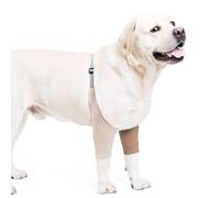DONGKER Protecteur de Coude pour Chien,Attelles de Jambe Avant pour Chien,Manchon de Récupération,Genouillère pour Animaux de Compagnie,Blessures pour Chiens de Taille Moyenne et Grande
