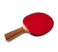 Donic Schildkröt Persson 600