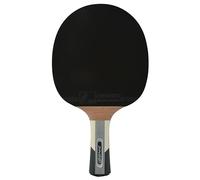 Donic Schildkröt WALDNER 1000 table de tennis de table Multicolore