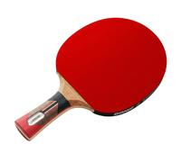 Donic Schildkröt Top Team 900 table de tennis de table Noir, Rouge, Blanc, Bois