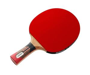 Donic-Schildkröt Top Teams 900 AVS/PLS-G TT Racquet