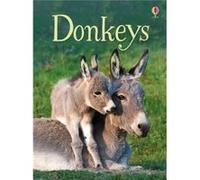 Donkeys by James Maclaine Inconnu (Auteur)