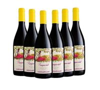 DONNAFUGATA PASSIPERDUTI VIN BLANC SICILIENNE [ 6 BOUTEILLES x 750 mℓ ]