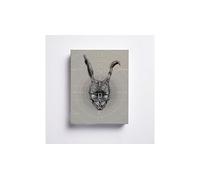 Donnie Darko Limited Edition Blu-ray 4K Ultra HD