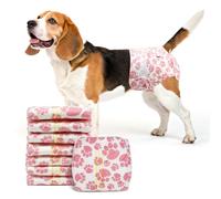 Dono Couche Chien Femelle, 16 unités, Couche pour Chat superabsorbantes, Couches pour Chiens souffrant d'incontinence, Voyages, Dressage et postopératoire, Taille M (28-43 cm)