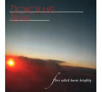 Donovan's Brain – Fires Which Burnt – Import