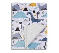 Donsonny Couverture pour bébé garçon et Fille Minky Doux avec Dos à Pois Double Couche, imprimé Dinosaures colorés 76,2 x 101,6 cm