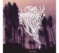 Don't Be a Stranger by The Moondoggies [VINYL] NEUF