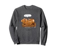 Don't Be Lazy, Cool Teddy Bear Illustration Graphic Designs Sweatshirt, Unisexe pour Adultes, Chiné Foncé, M