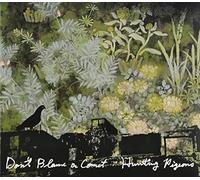 Don't Blame a Comet [Import allemand]