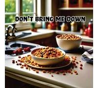 Don't Bring Me Down