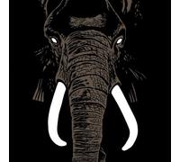 Philippe ‘pipon’ - Don't Buy Ivory Anymore (Vinyl)