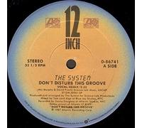 Don't Disturb This Groove