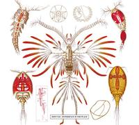 Don'T DJ - Hyperspace is The Place / Hyperspace is No Place [CD version]