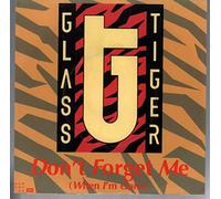 Don't forget me.. (1986) / Vinyl single [Vinyl-Single 7'']