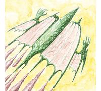 Don't Kill The Beast - I Am & I Change