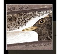 Dont Kill The Blackbird