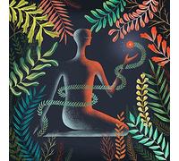 Loma – Don't Shy Away – CD