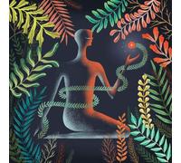 Don'T Shy Away - Vinyle Vert Sombre