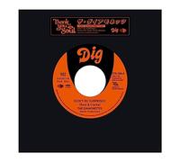 Diamonettes - Don't Surprised/Rules are Made to Be Broken