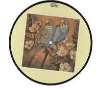 Don't Tell Me [7" Vinyl]
