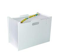 Doocli Trieur à Soufflets Classeur Rangement, trieur 12 compartiments a4, classement extensible accordéon organiseur, trieur pour la maison ou le bureau (gris clair)