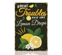 DOODLREAM Panneau de décoration murale vintage en métal avec inscription « Where Troubles Melt Like Lemon Drops » - Décoration murale pour la maison, le bureau, la chambre - Cadeau - 20,3 x 30,5 cm