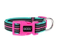 DOOG Collier Néon Rin Tin Tin Vert/Rose Pour Chiens Actifs, Antibactérien