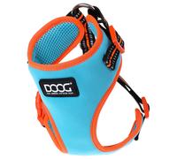 DOOG Harnais En Néoprène Beethoven Aqua/Orange Pour Chiens, Léger & Réglable