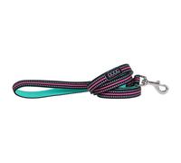 Doog Néon Laisse Rin Tin Tin Vert/Rose, Réfléchissant, Laisse Pour Chien, Légère