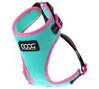 DOOG Néoprène Vaisselle Rin Tin Vert / Rose, Réglable, pour Chiens, High-Vis