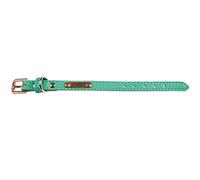 Doogy Collier Simili Summer pour Chien Vert Autre