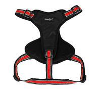 Doogy Harnais Sport Rouge TM 54-75 cm x 20 mm