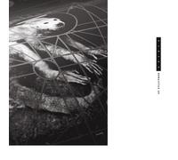 Doolittle 25 Vinyle