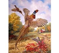 Dooqon Peinture Diamant Faisan, Peinture Numero Adulte, 5D Enfant Diamond Painting Kits Complet, Tableau Diamant Painting Kit Art Craft pour Decoration Home Murale Salon Chambre 30x40cm/12x16in