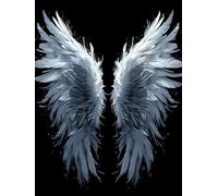 Dooqon Peinture par Numéros pour Adultes, Peinture par Numéros Grand Ailes d'ange 40x50cm Acryliques Peintures Numéros Débutants Enfants, Peinture avec Paint by Numbers Kit, Sans Cadre S-405