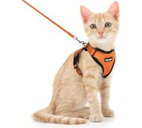Dooradar Cat Harness and Leash Set, Escape Proof Safe Adjustable Kitten Vest Harnesses for Walking, Easy Control Soft Breathable Mesh Jacket with Reflective Strips for Cats, Orange, XS