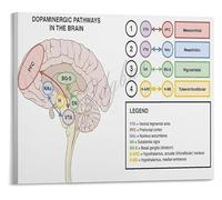 Dopamine Chemical Formula Molecule Structure Science Art Canvas Poster for Study Laboratory Bedroom Decor(Framed,08x12inch(20x30cm))