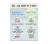 Dopamine Serotonin Neurotransmitters Science Poster Brain Chemistry Learning Chart Psychology Student Gift Home Office Art(Unframed,08x12inch(20x30cm))