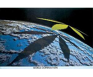 Dope domination world-fun poster haschisch cannabis marijuana-herbe du chanvre dimensions : 91,5 x 61 cm cm