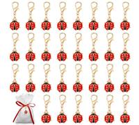 DOPENSPI Lot de 30 porte-clés coccinelles - Pendentif - Petites étiquettes cadeaux - Coccinelle porte-bonheur - Décoration pour Noël, Nouvel An - Cadeau de l'Avent