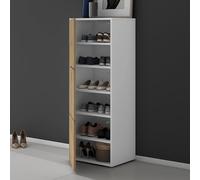 doporro Meuble à Chaussures 45x120cm Armoire à Chaussures 6 Compartiments