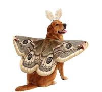 Doqeou Costume pour chien avec bandeau - Costume d'Halloween pour chiens de grosse, moyenne et petite taille, chiot, anniversaire, vacances, fête et également comme déguisement pour chat