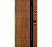 Dorado 01 Porte d'entrée 100 x 200 cm DIN gauche - Porte d'entrée 72 mm avec nano-revêtement - Porte en acier 1,3 Ud - Kit complet avec cadre et poignée - Porte extérieure robuste avec boulons de